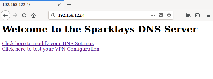 A web browser page displaying a welcome message and two links, one to modify DNS settings the other to test a VPN configuration